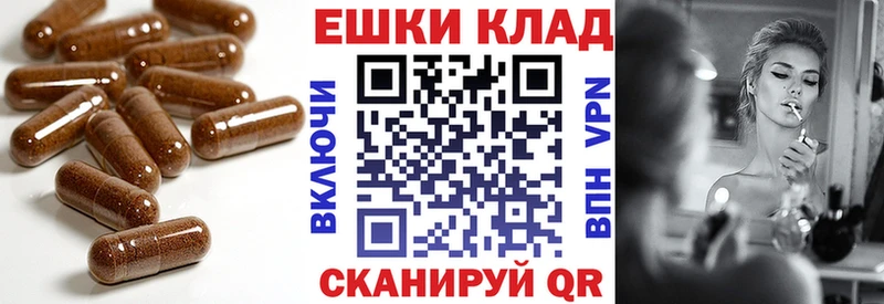 купить наркоту  darknet официальный сайт  Ecstasy 300 mg  Цивильск 