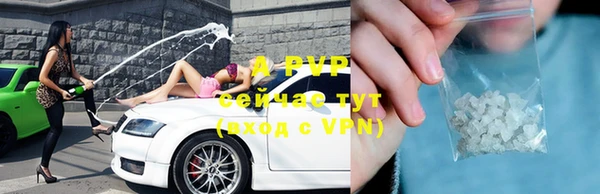 хмурый Алексин