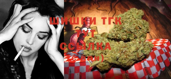 твердый Алзамай