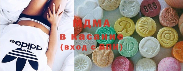хмурый Алексин
