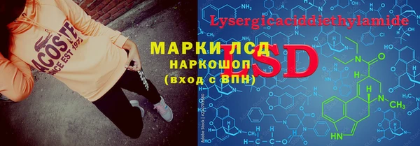 хмурый Алексин