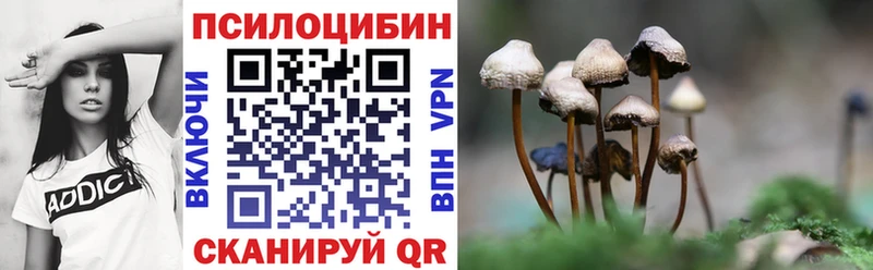 площадка состав  Цивильск  Галлюциногенные грибы Cubensis 